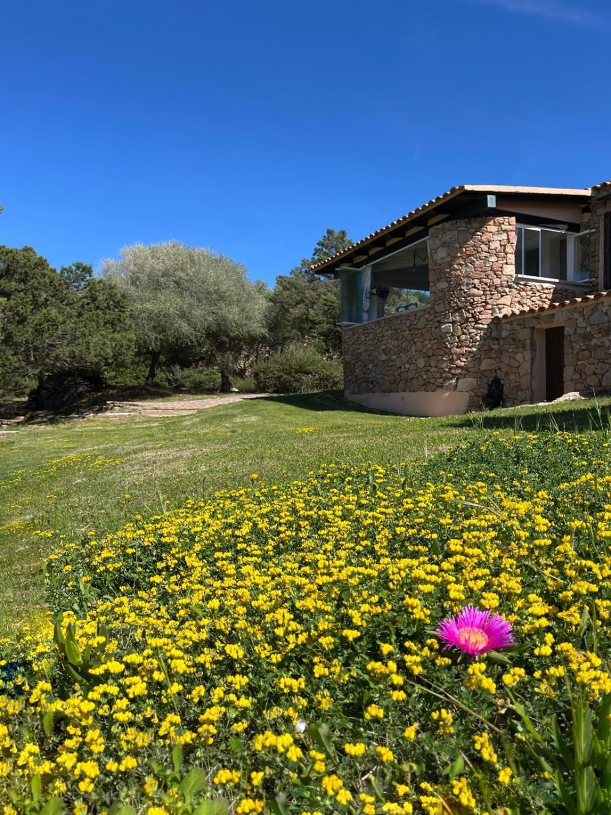 Villa House On The - Porto Rotondo